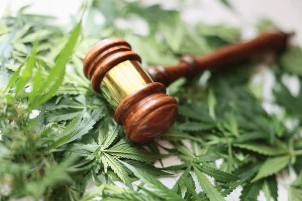 Marijuana Deregulation and Workplace Concerns for NYS Employers
